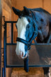 Cushy Fleece Halter Set