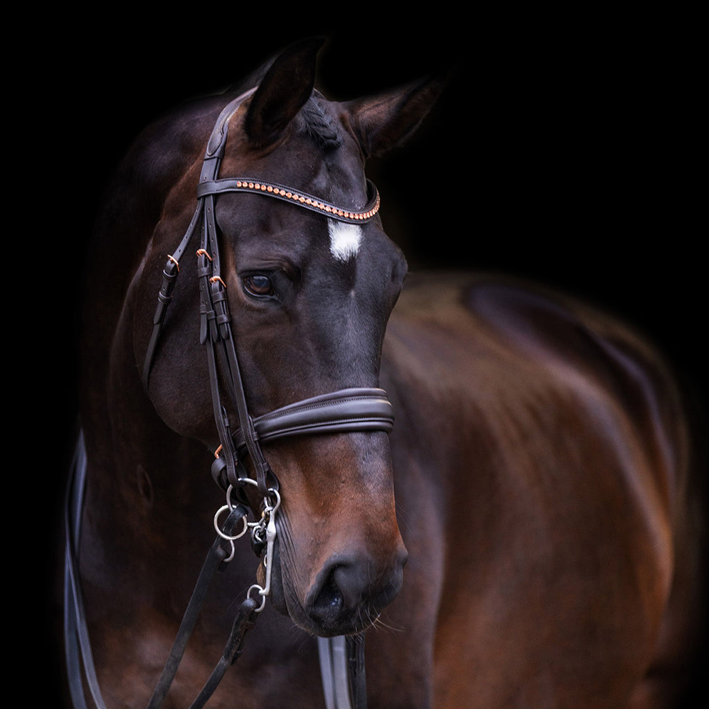 Fria Weymouth Bridle