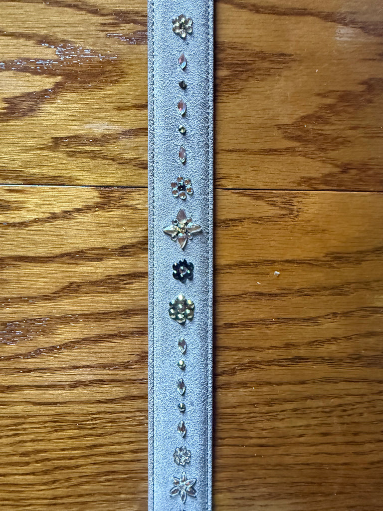 Plastronique Belts