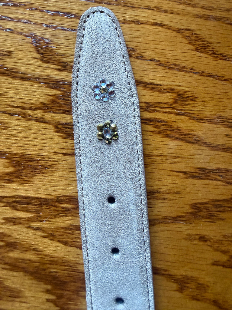 Plastronique Belts