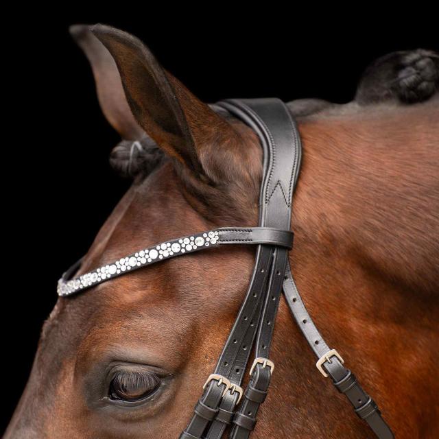Olympia Weymouth Bridle