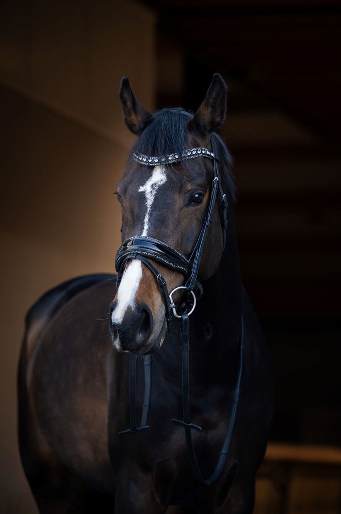 It's So Special Snaffle