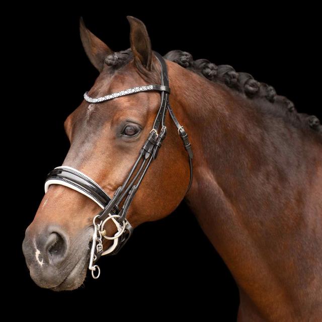 Olympia Weymouth Bridle