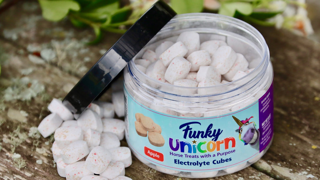 Sustain Electrolyte Cubes