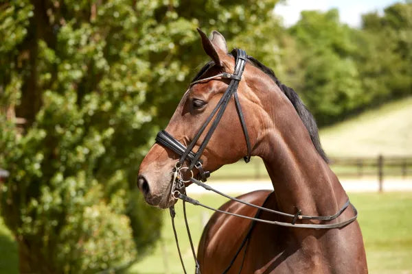 Cayenne Weymouth Bridle