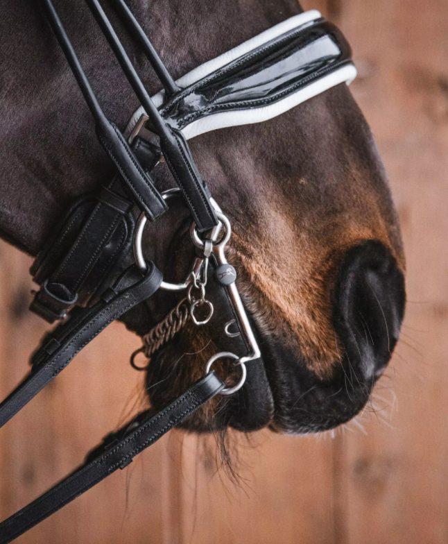 Diana Titanium Weymouth