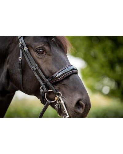 Especial Crystal Weymouth Bridle