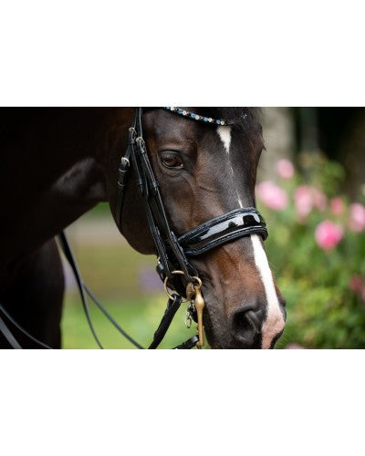 Especial Crystal Weymouth Bridle