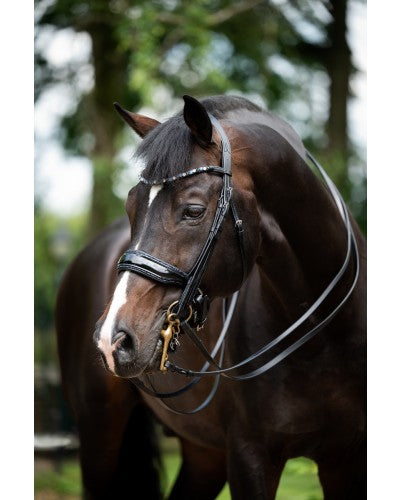 Especial Crystal Weymouth Bridle