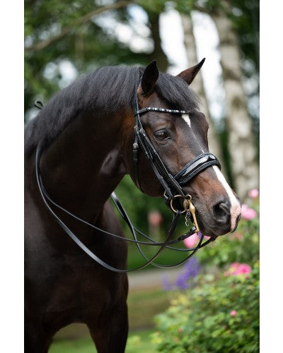 Especial Crystal Weymouth Bridle