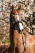 Jewel Crystal Snaffle Bridle