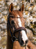 Jewel Crystal Snaffle Bridle