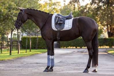 Lake View Collection 2021