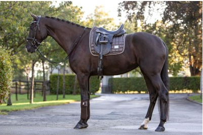 Lake View Collection 2021