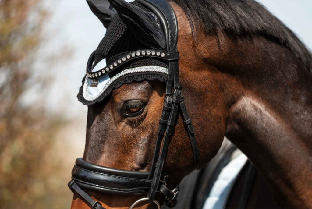 Equito - Morning Sky