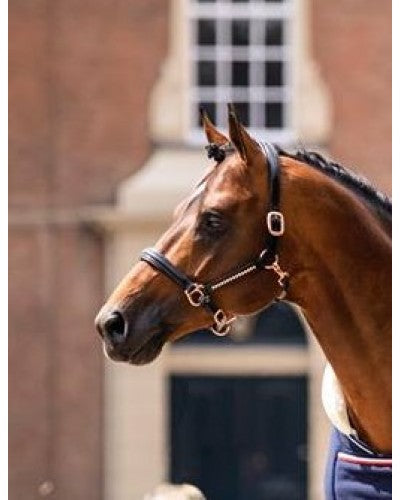 Rose Gold Anatomic Halter