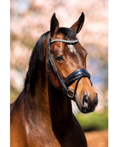Showtime Fancy Snaffle Bridle