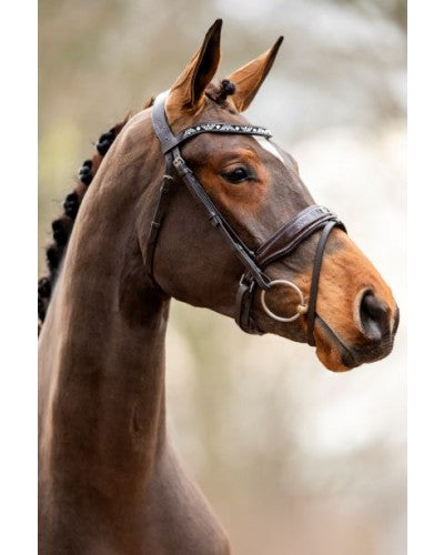 Showtime Great Escape Snaffle