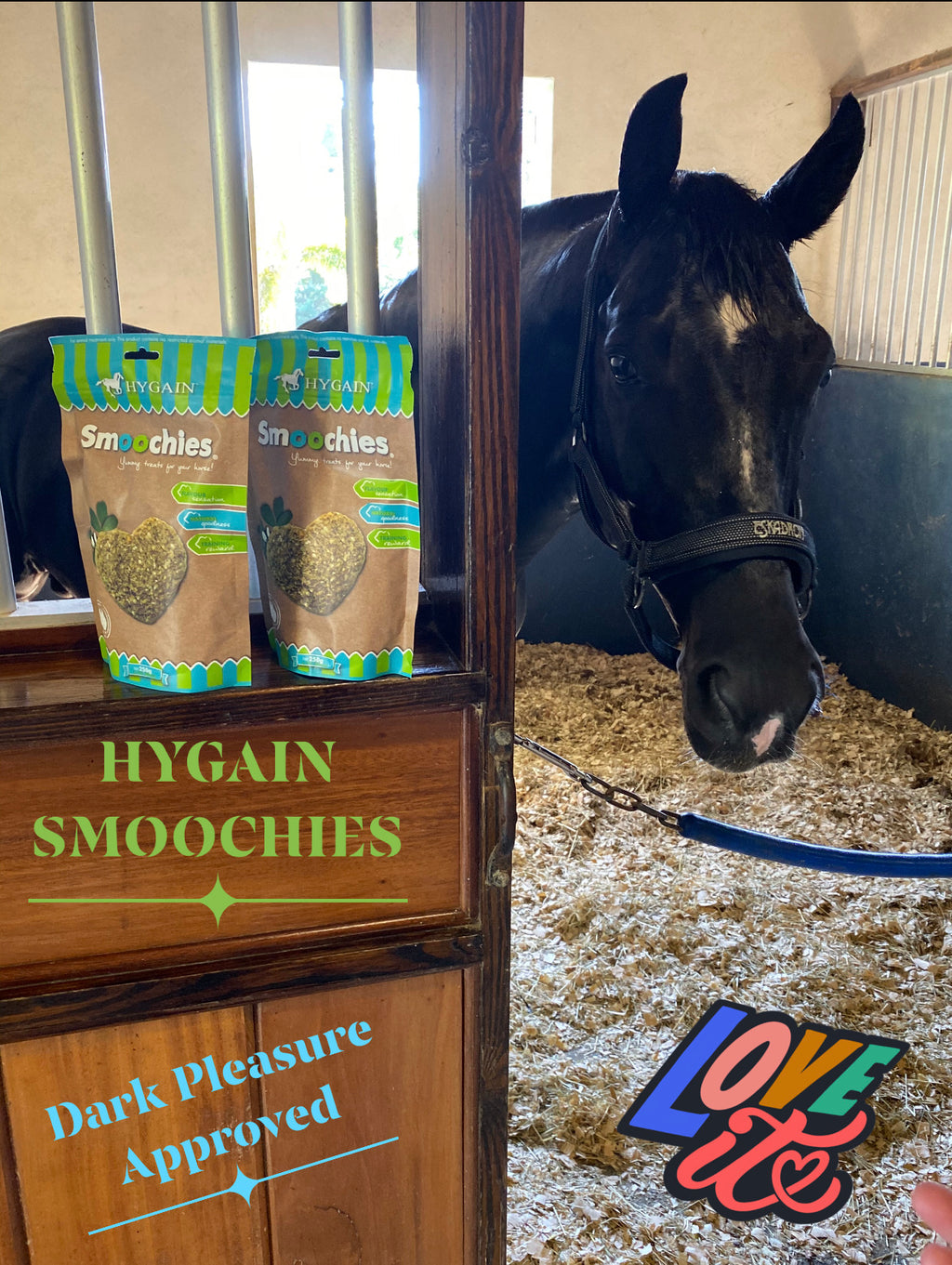 Hygain Smoochies horse treats