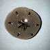 Plastronique Jeweled Bun Covers - Blonde