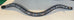 Rising Star Browbands