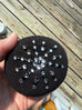 Plastronique Jeweled Bun Covers - Black