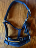 BR/Anky Halters & Leads