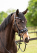 Las Vegas Crystal Snaffle Bridle