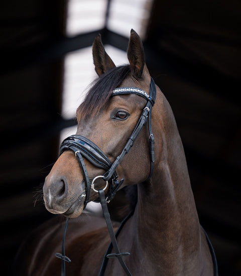 Stockholm Crystal Snaffle Bridle