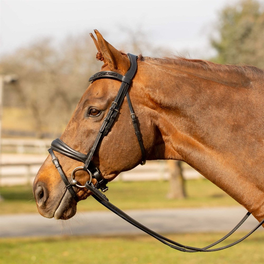 Valkyrie Anatomic Snaffle Bridle