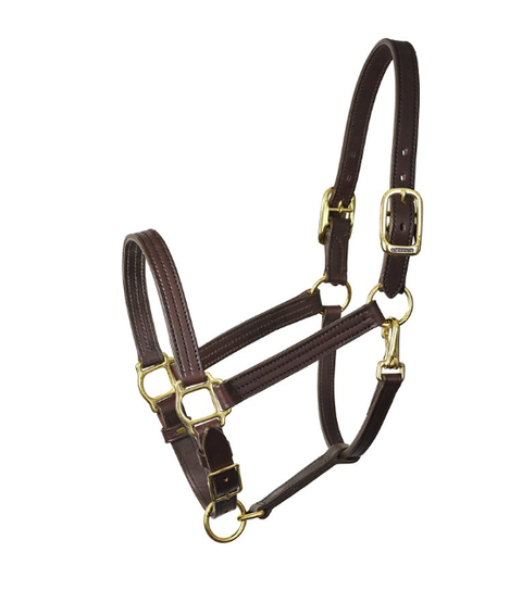 Turnout Halter - Havana