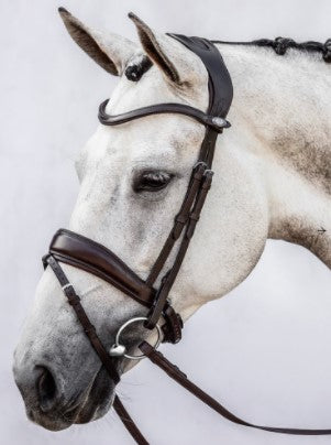 Flying Change Bridle