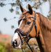 Jewel Crystal Snaffle Bridle