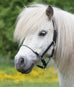 Foal/Pony Crystal Halter